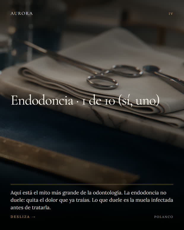 La escala honesta del dolor, 4 de 6