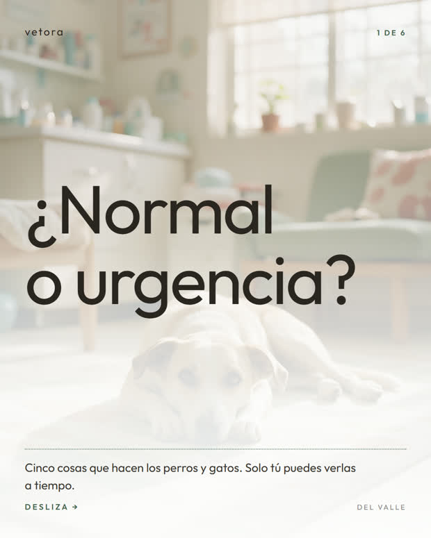 ¿Normal o urgencia?, 1 de 6
