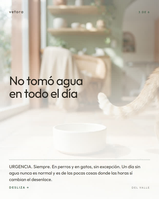 ¿Normal o urgencia?, 3 de 6