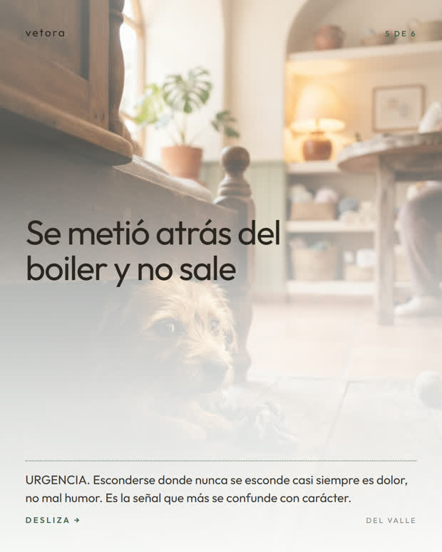 ¿Normal o urgencia?, 5 de 6