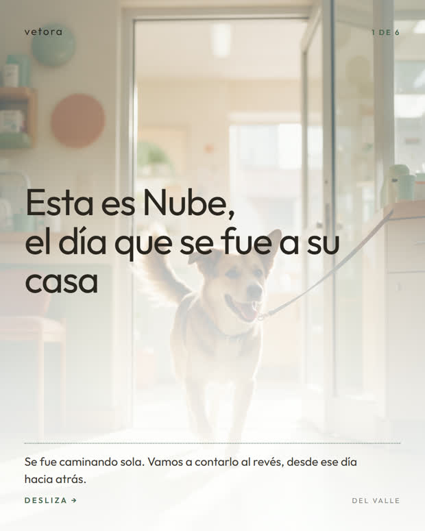 Empezando por el final, 1 de 6