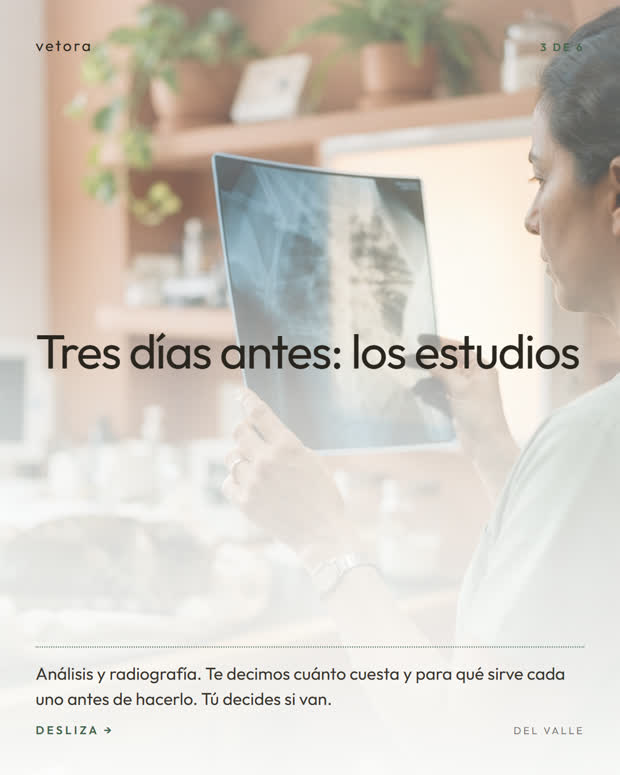 Empezando por el final, 3 de 6