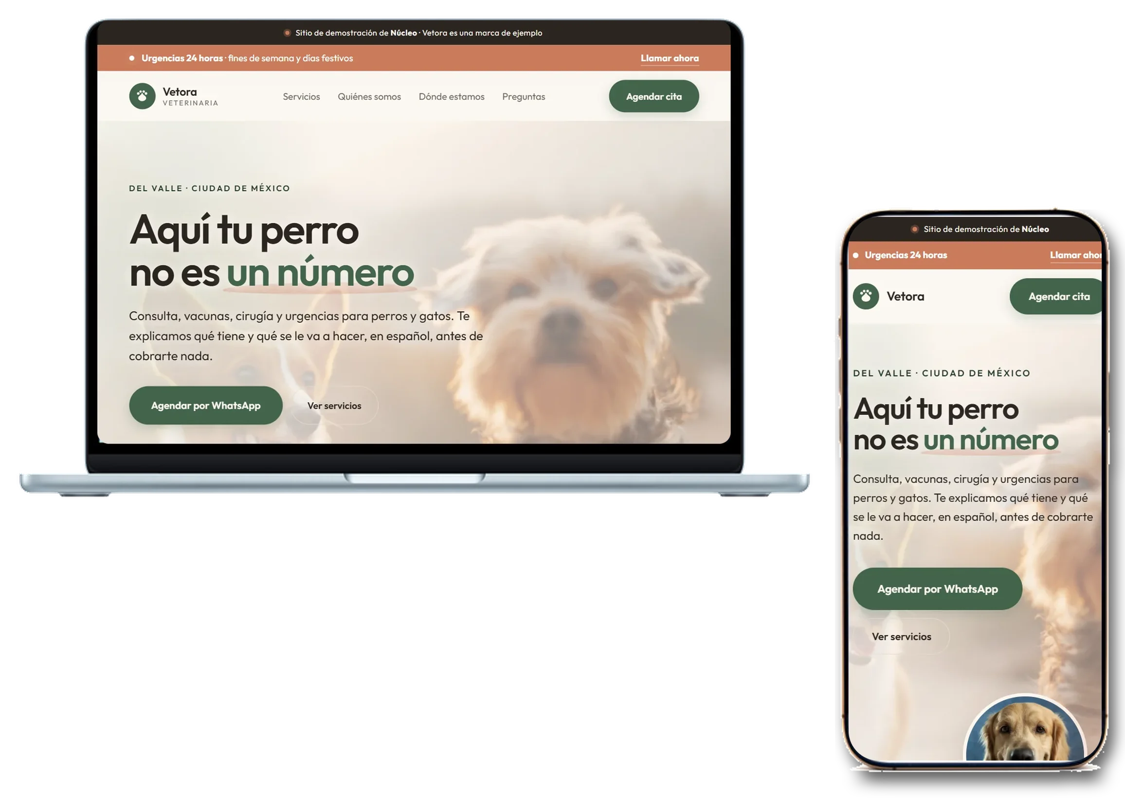 Sitio de Vetora hecho por Usanúcleo